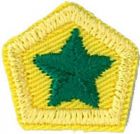 Green Star:  [A 05 -Know what to do if lost] [A 07 -Safely put out a fire*] [B 02 -Cook a hot meal for pack]
