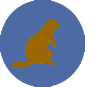 View the full Beaver Scout Colony Event Calendar