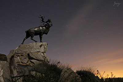 Beaumont-Hamel Memorial, France